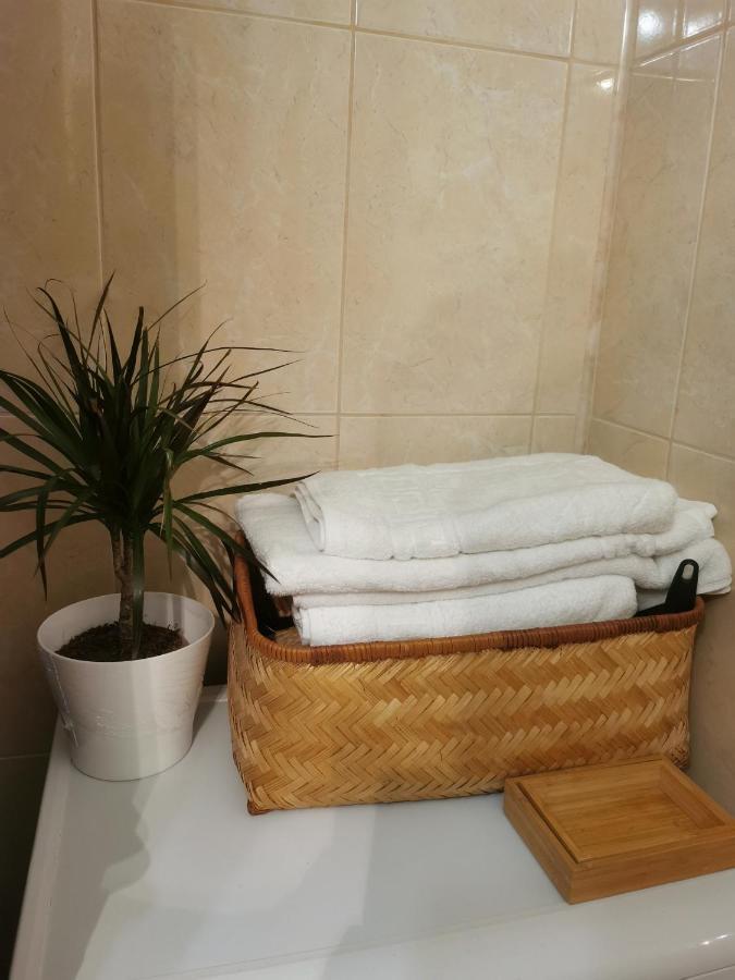 בוקרשט Bertigart Studio Apartment מראה חיצוני תמונה